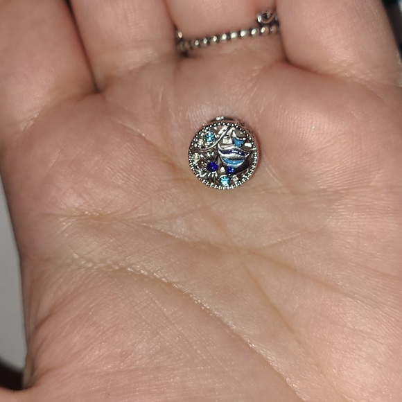 Wonders of the sea - Picture 2 of 4